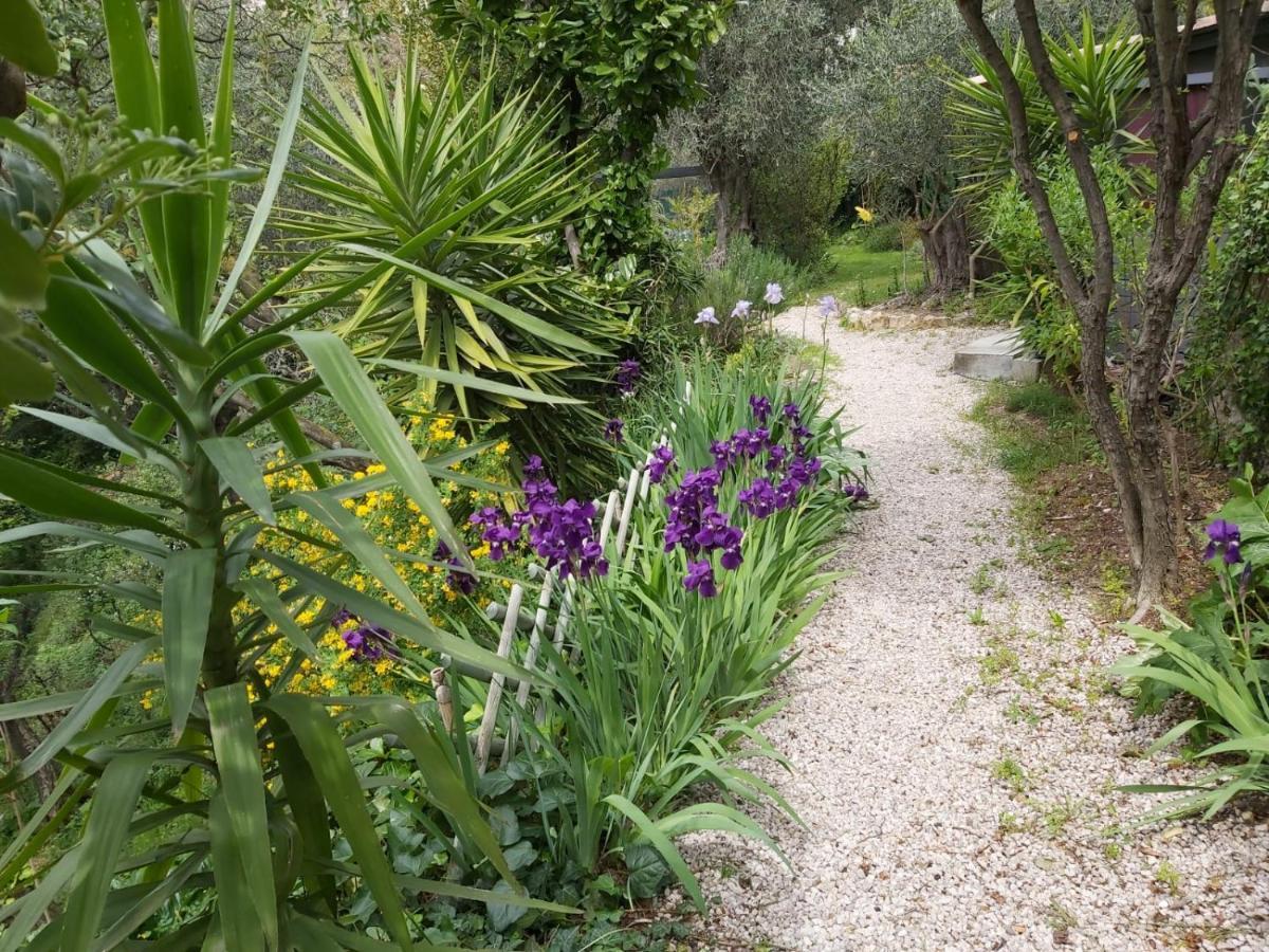 Bed and Breakfast Bastide De La Lauve Magagnosc Exteriér fotografie